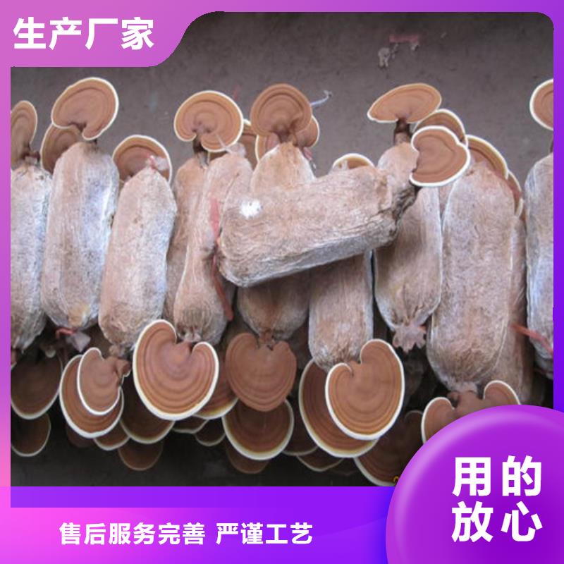 靈芝孢子粉-一心為客戶