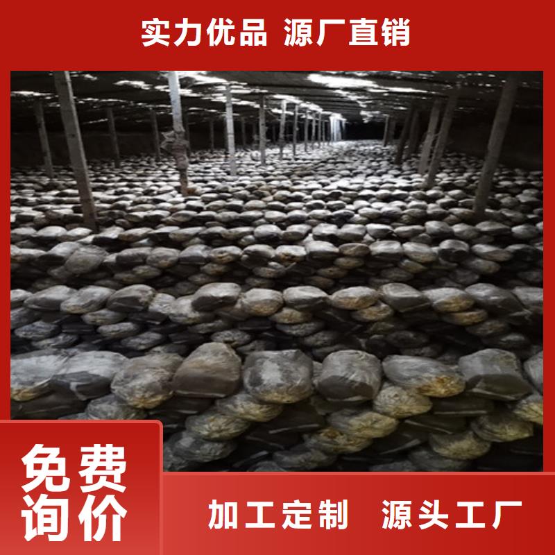 靈芝孢子粉-我們只做高品質