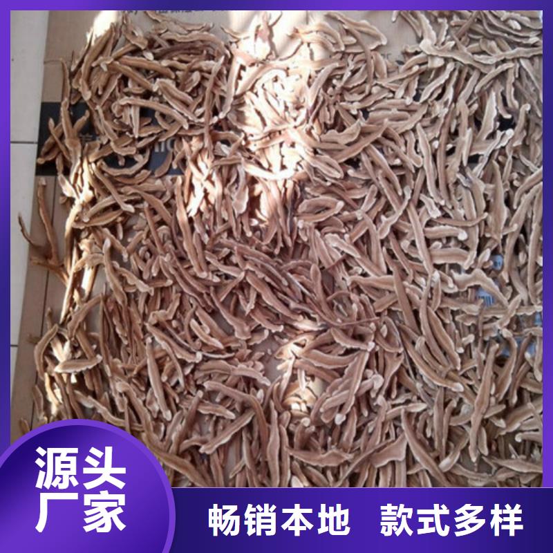 熱銷：靈芝粉廠家