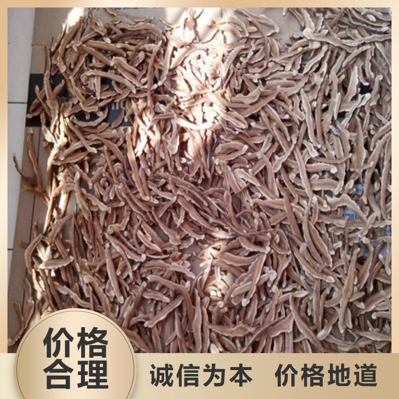 靈芝粉_保障