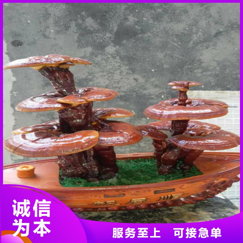 靈芝粉用心服務(wù)