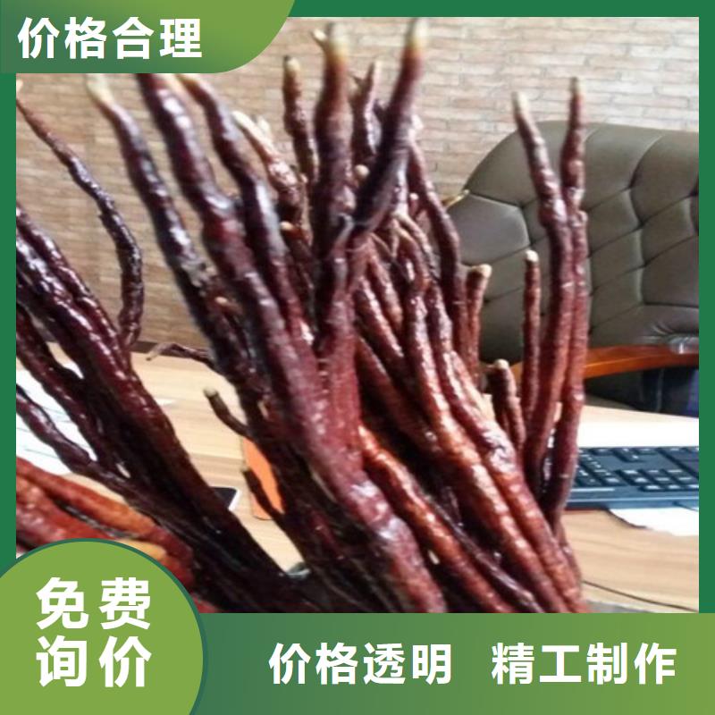 靈芝粉批發優惠多