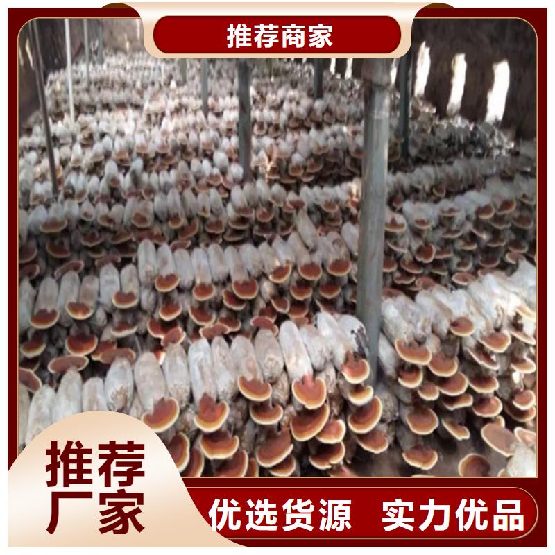 瑞芝免費拿樣