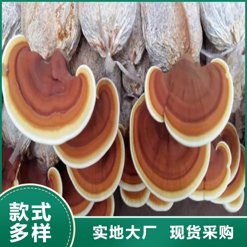瑞芝免費拿樣