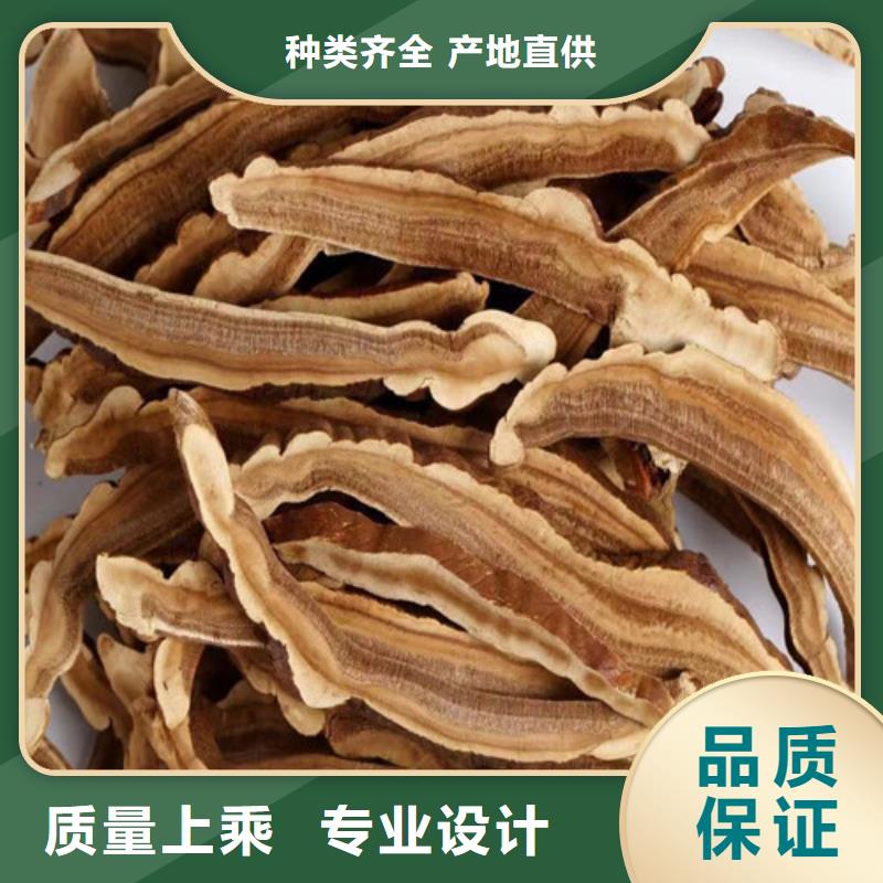 靈芝粉廠家品質可靠