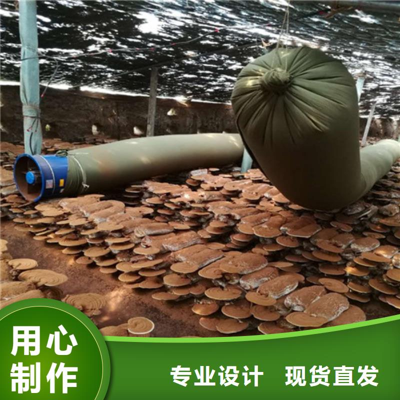 可定制的靈芝粉生產(chǎn)廠家