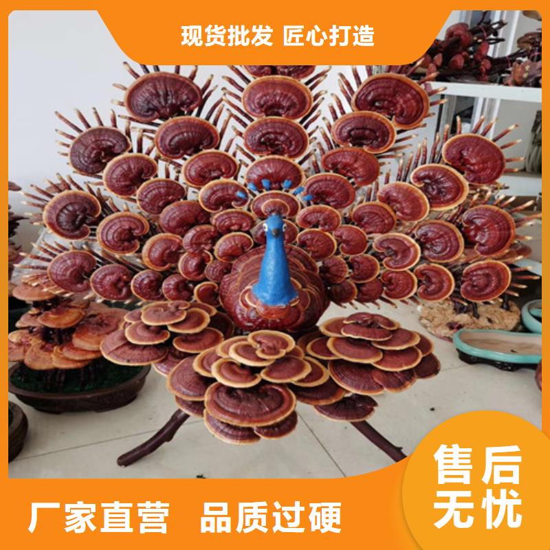 #靈芝粉#出貨快