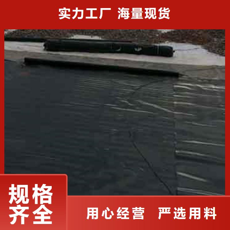 供應土工膜_優(yōu)質廠家