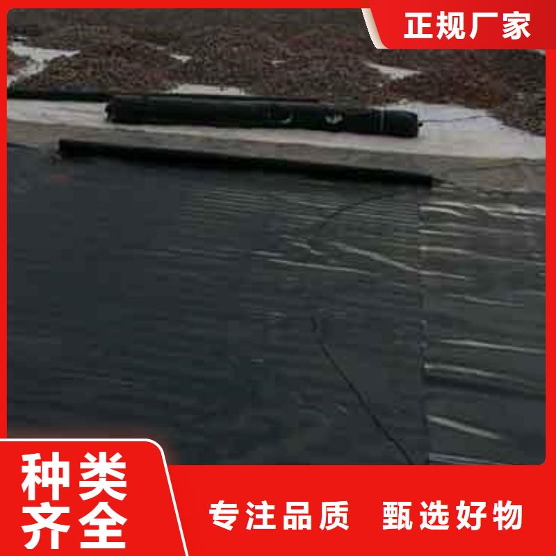 有實力的土工膜廠家