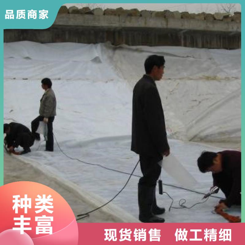 土工膜價格-生產廠家