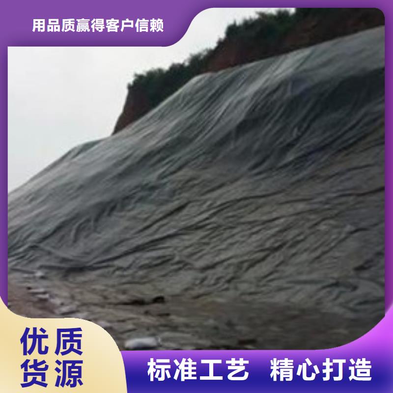 土工膜歡迎詢價當地廠家