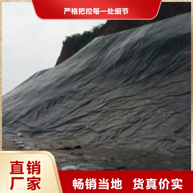 #土工膜#-價(jià)格透明