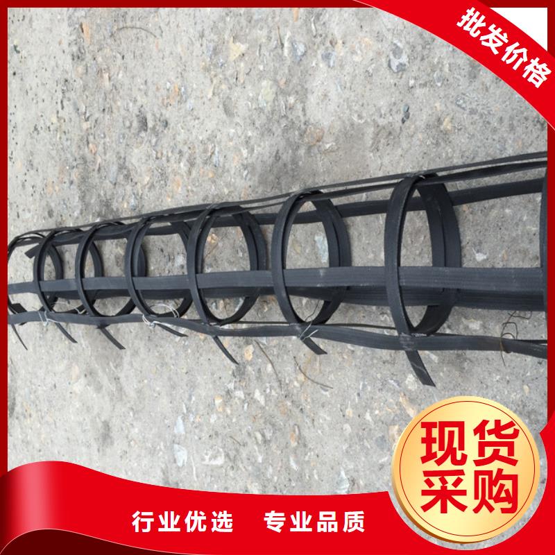 土工格柵-熱銷當地貨源
