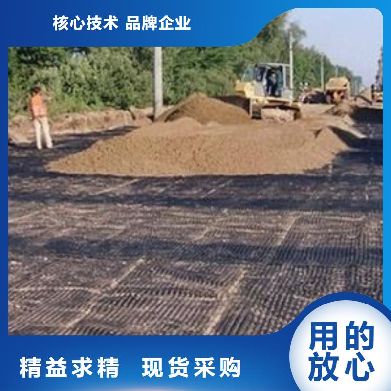 双向塑料土工格栅价格查询欢迎光临