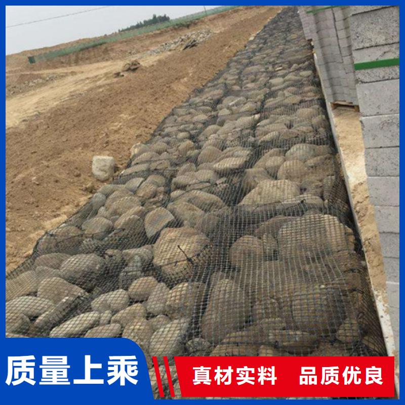 生產土工格柵