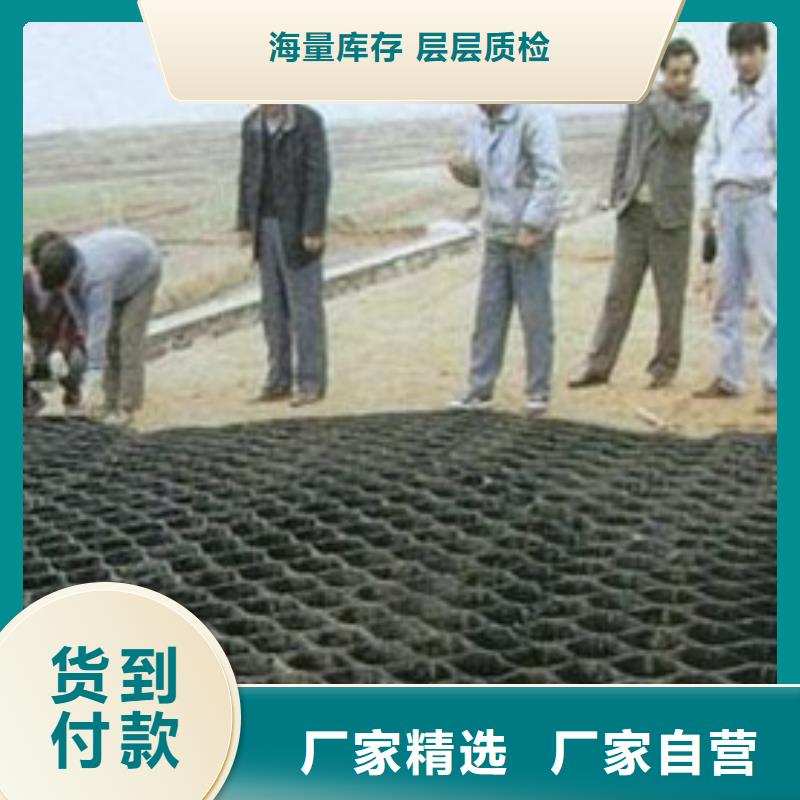 土工格室公司發貨快