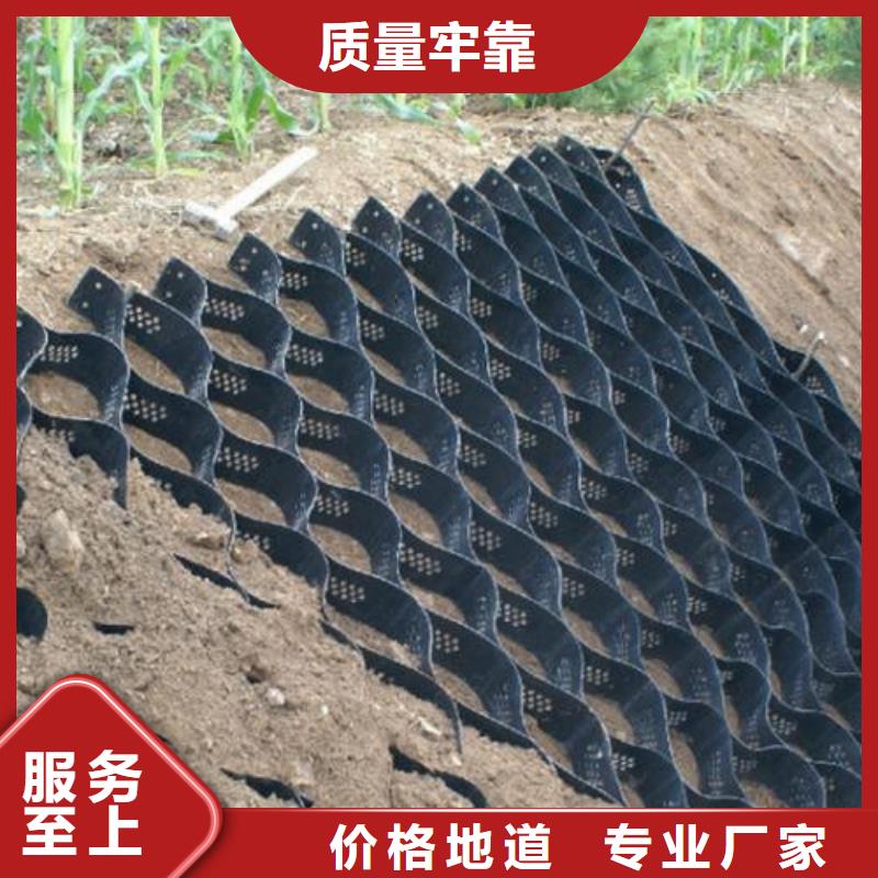 土工格室生產(chǎn)廠家、批發(fā)商