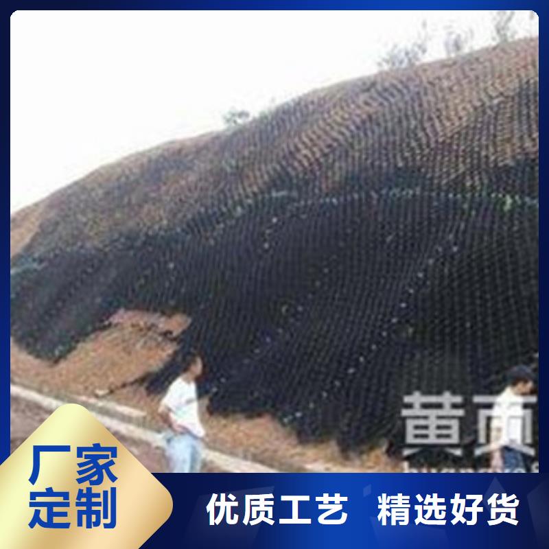 供應(yīng)批發(fā)土工格室-好評產(chǎn)地貨源