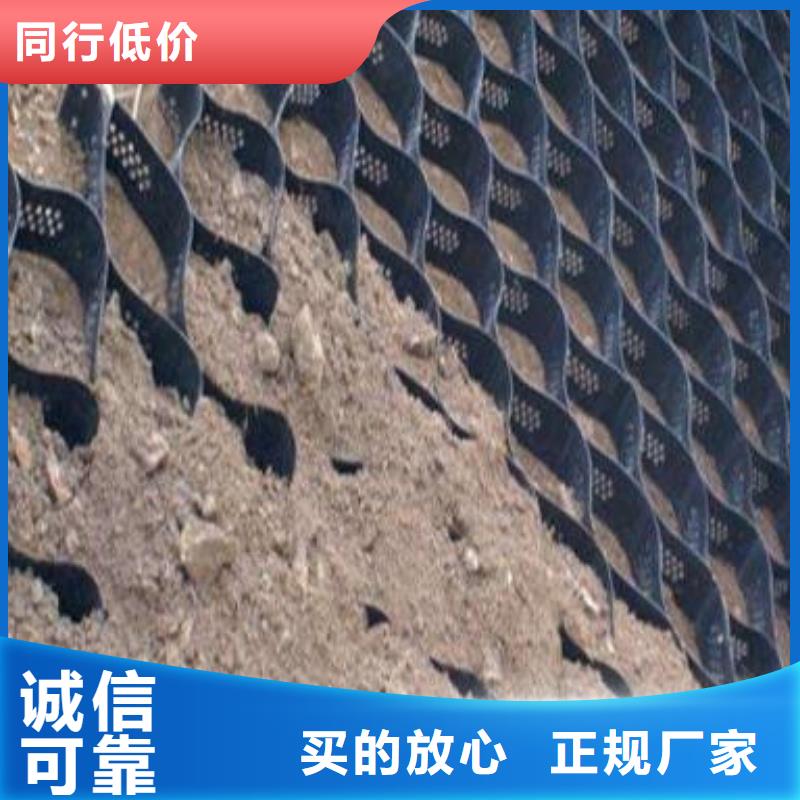 土工格室、土工格室廠家直銷-型號齊全極速發貨