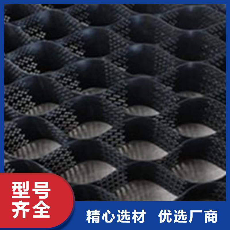 土工格室_土工格室公司從廠家買售后有保障