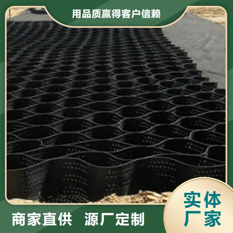 批發土工格室的銷售廠家當地品牌