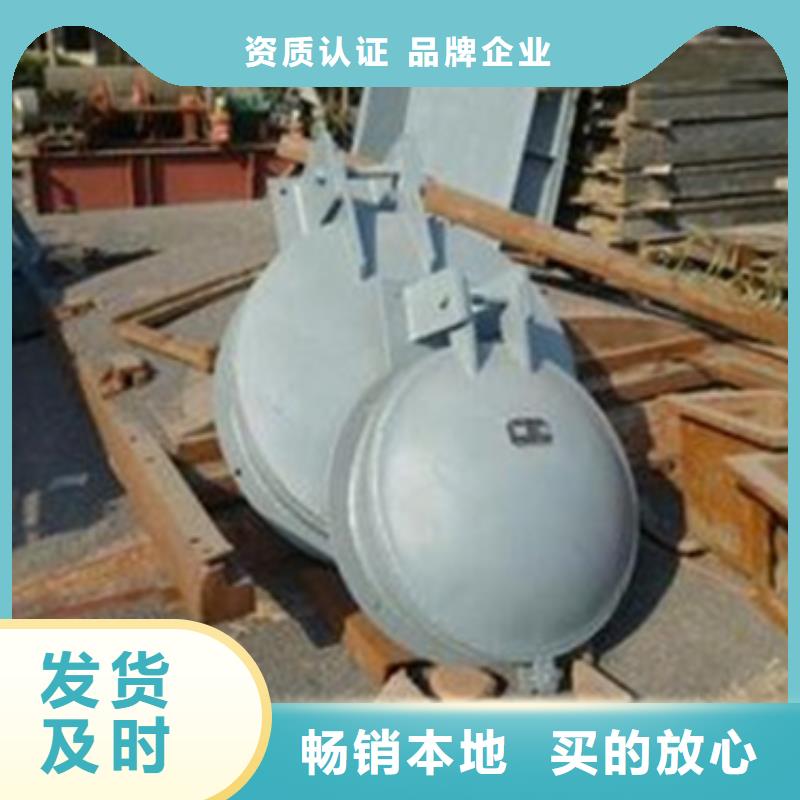 拍門啟閉機