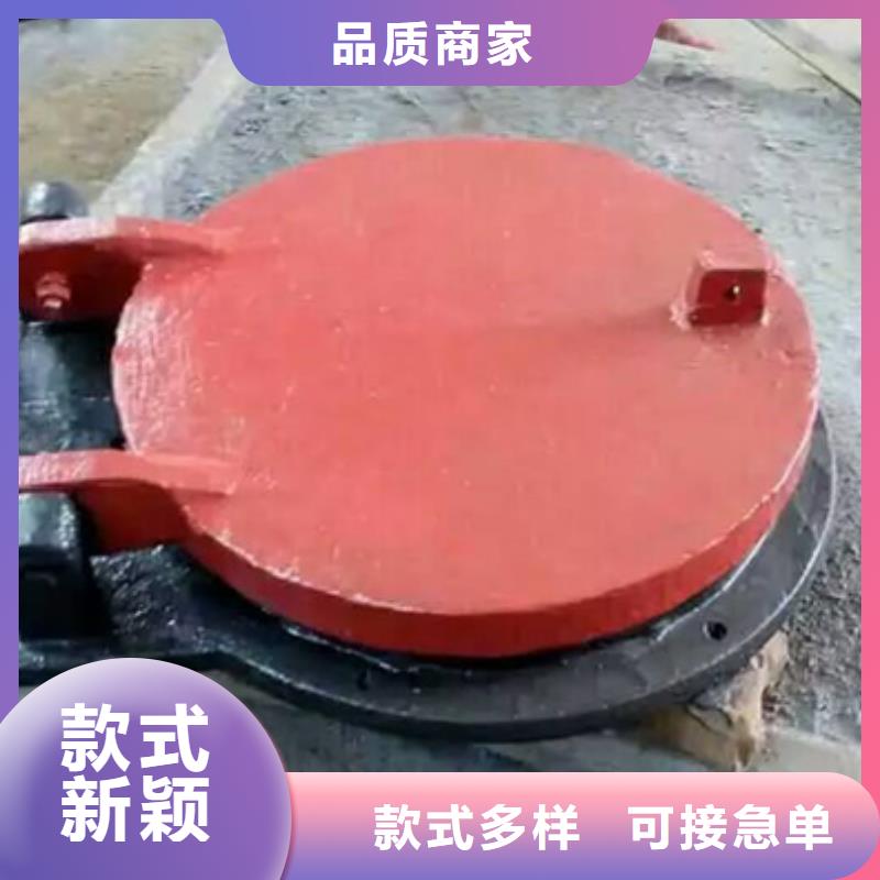 HDPE拍門廠家定制