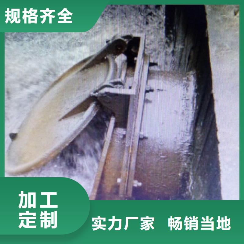 塑料拍門