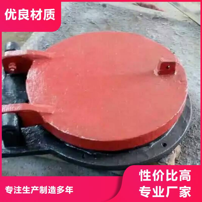矩形側(cè)翻式拍門		可定制