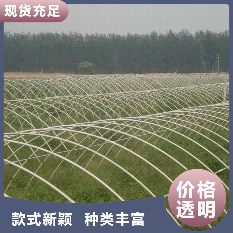 性價比高的鍍鋅管廠家