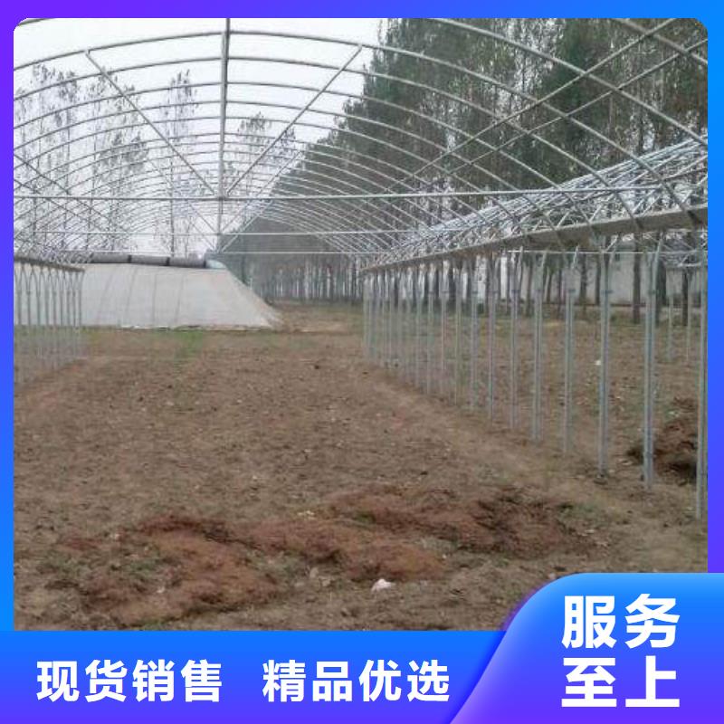 大棚管工廠-廠家