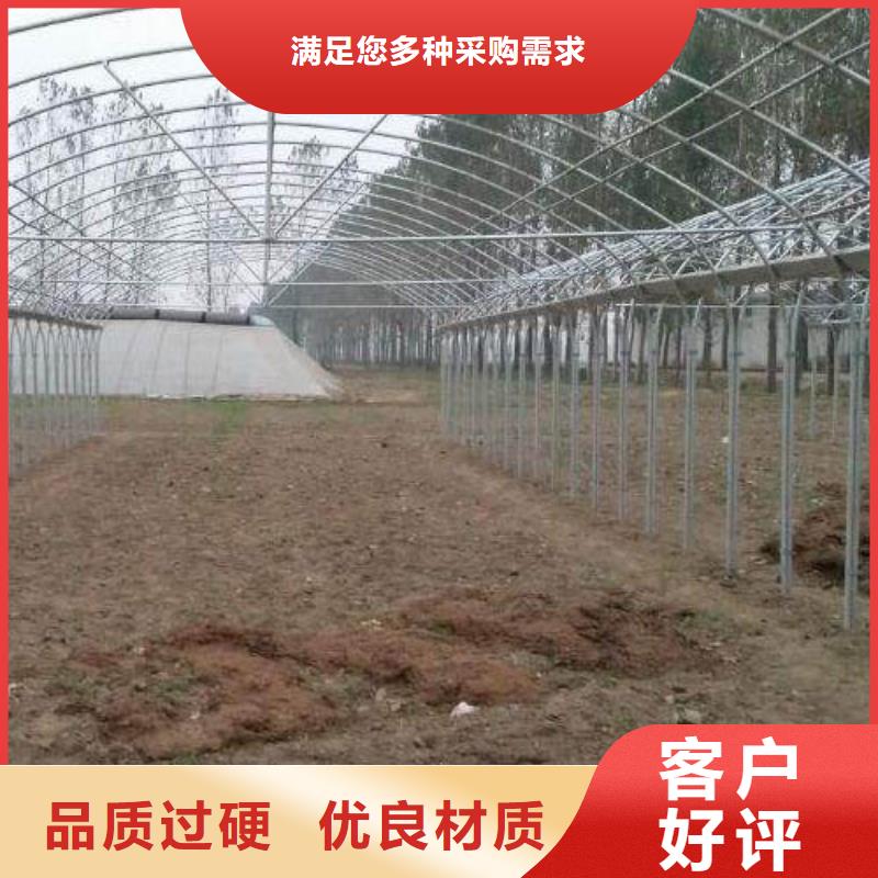 大棚管-回購率高