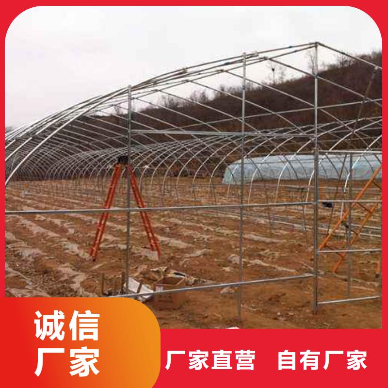 大棚配件_大棚鍍鋅管廠家