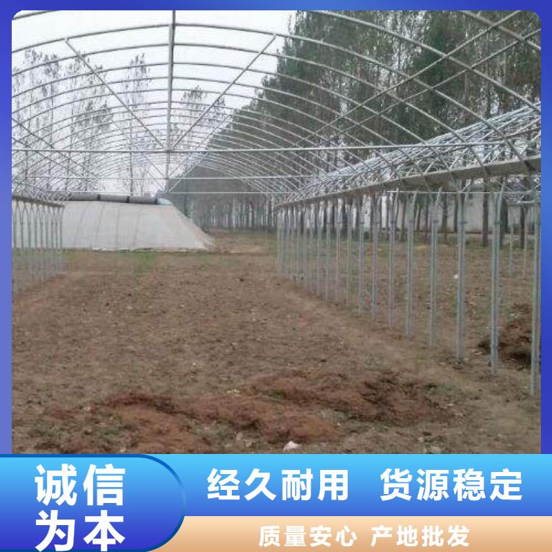口碑好的大棚管廠廠家質量過硬