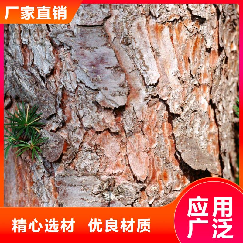 現貨充足的松樹皮廠家