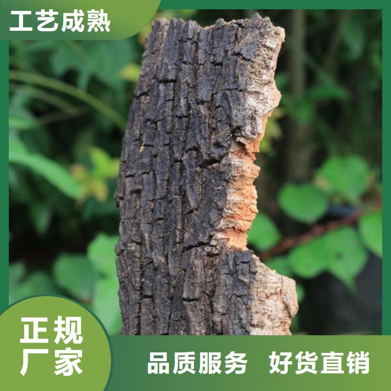 专业销售松树皮-价格优惠支持加工定制