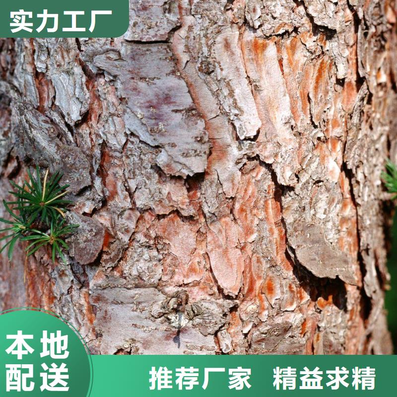 松樹皮廠家批發本地品牌