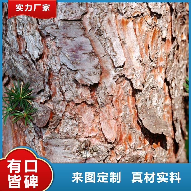 松樹皮品質(zhì)與價(jià)格