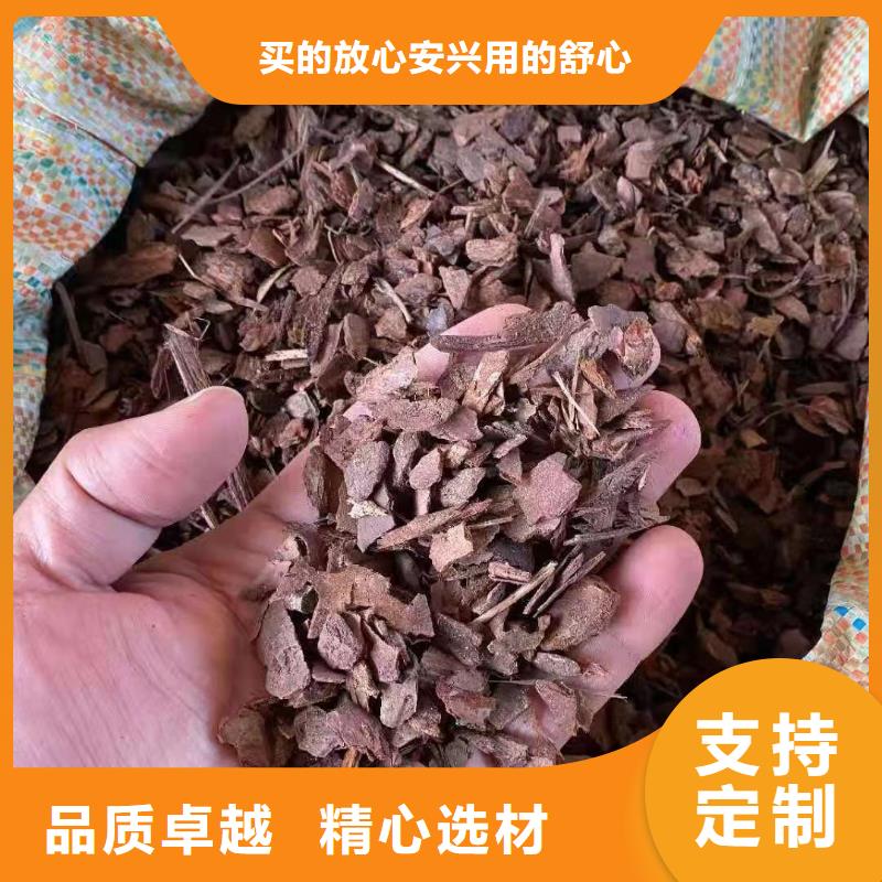 松樹皮報價資訊