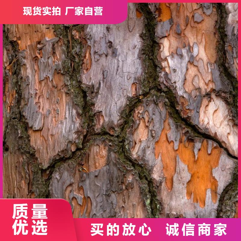 松樹皮企業-經營豐富