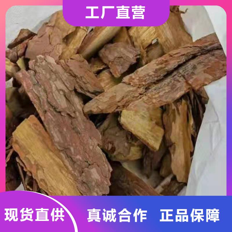 松樹皮企業-經營豐富