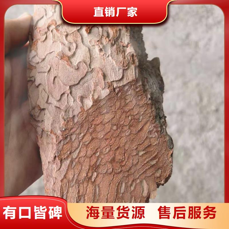 松樹皮企業