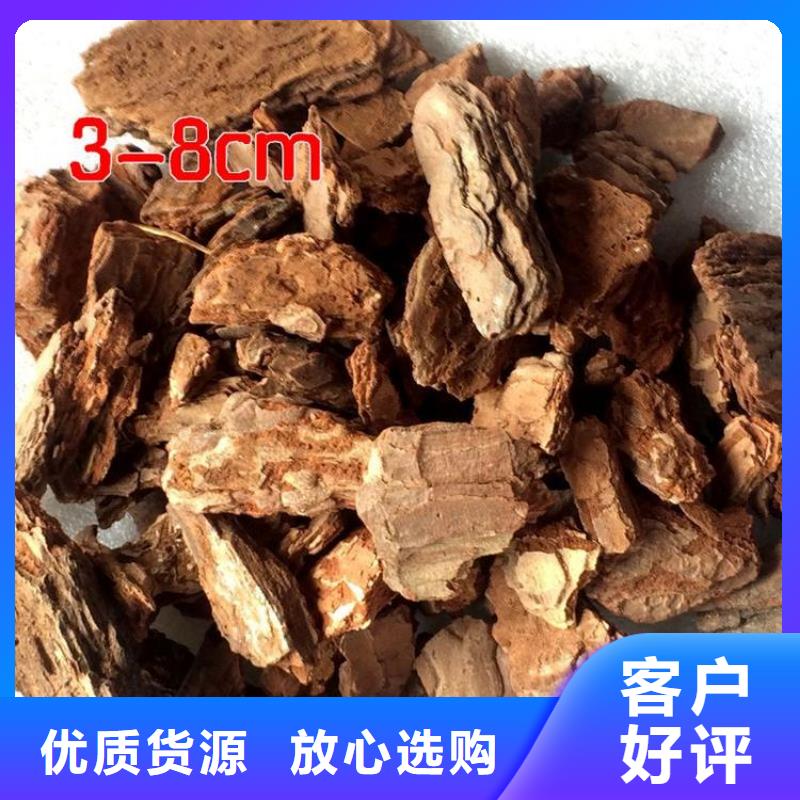 松樹皮企業-實力雄厚