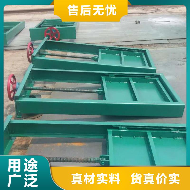 手電兩用螺桿啟閉機