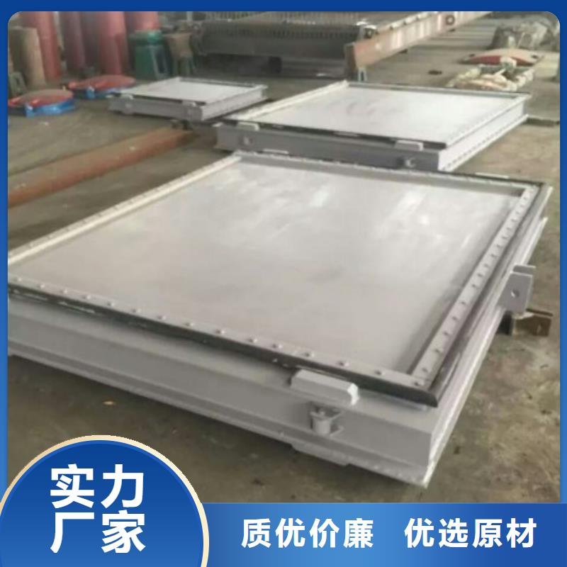 電廠鋼制閘門(mén)