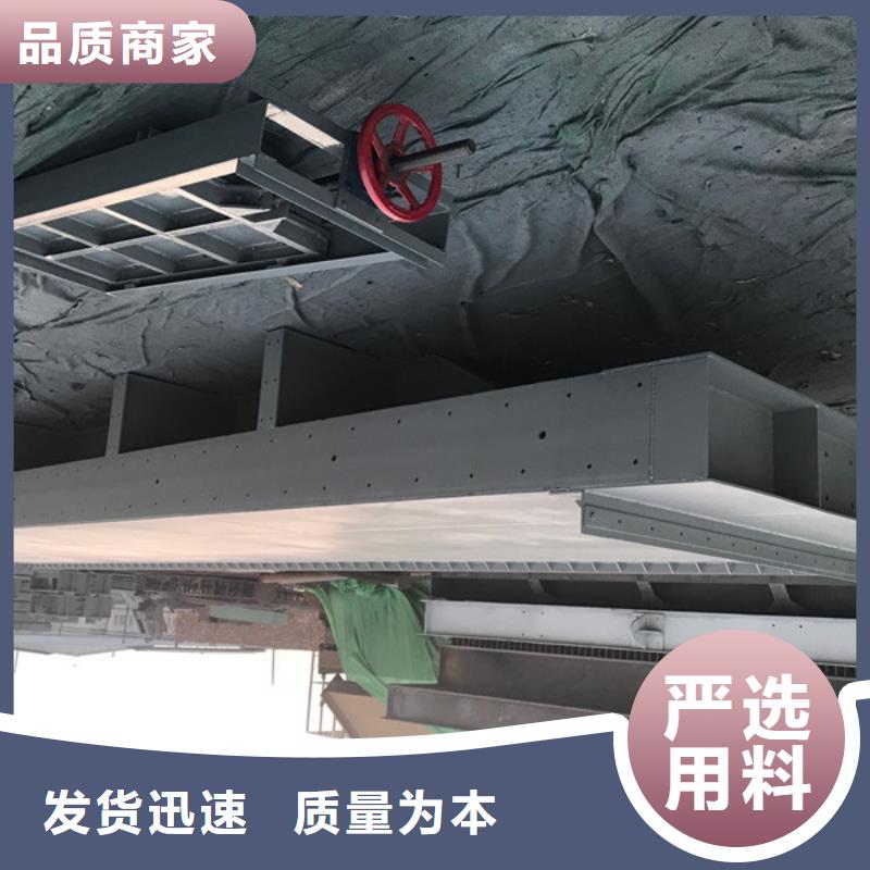 QL手電兩用啟閉機質量優異