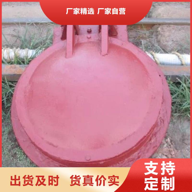 拍門(mén)-常規(guī)貨源當(dāng)天發(fā)出