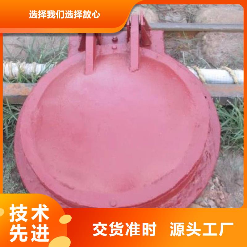 拍門實力廠家質量穩定