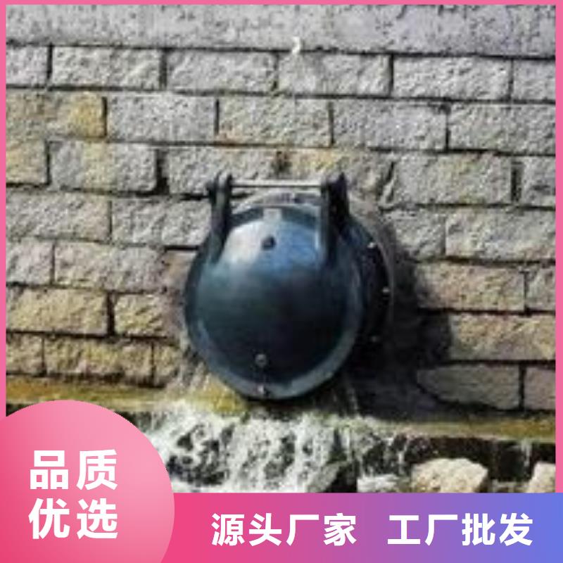 優(yōu)質的拍門供貨商