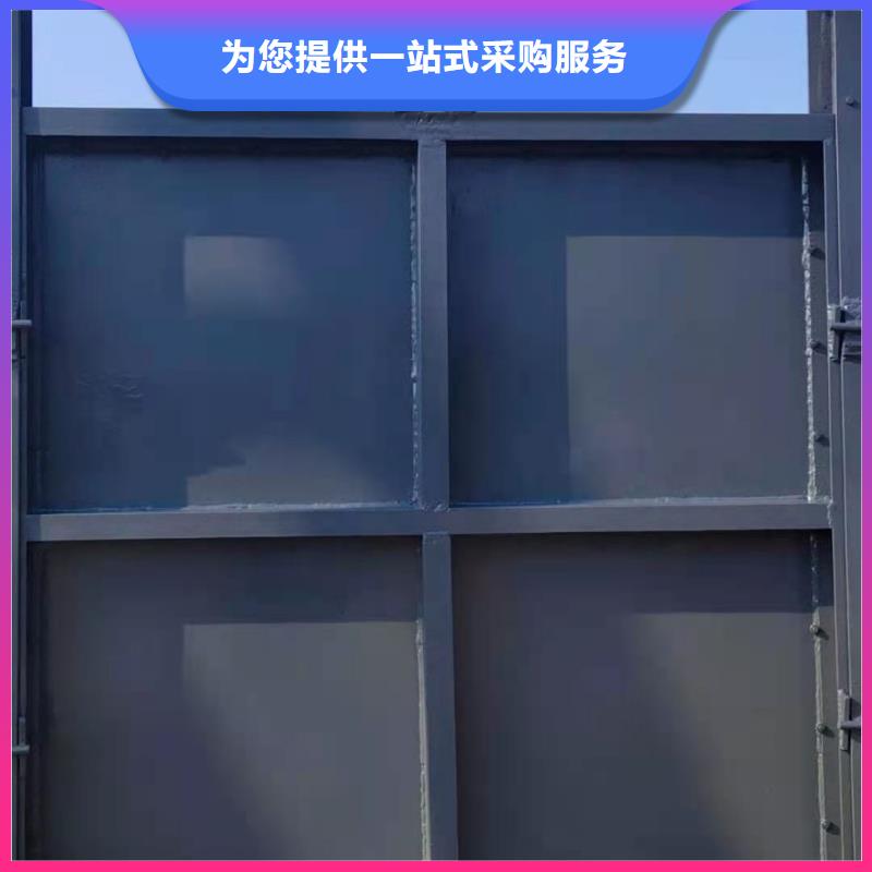 鋼制閘門品牌保證